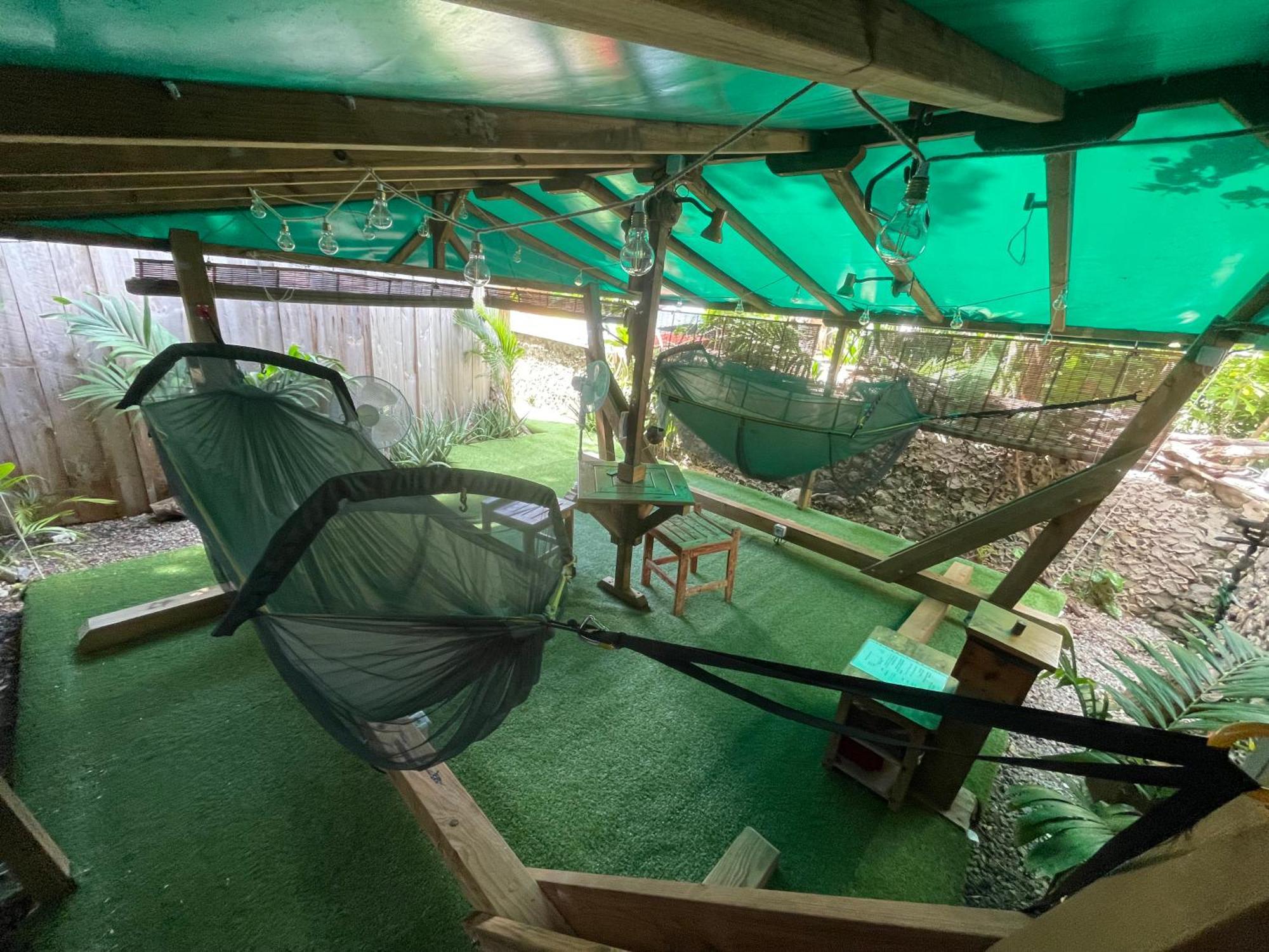 Les Hamacs Aux Saintes Hotell Terre-De-Haut Exteriör bild