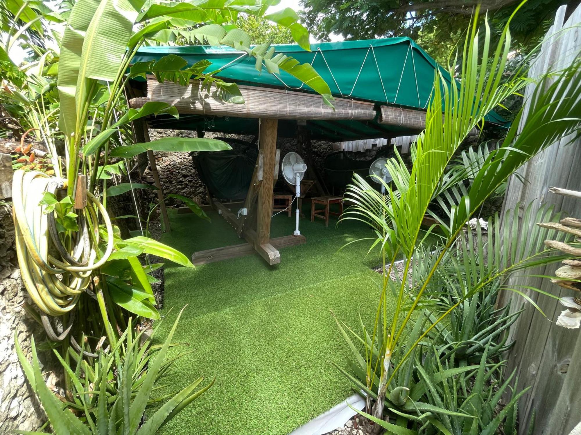 Les Hamacs Aux Saintes Hotell Terre-De-Haut Exteriör bild